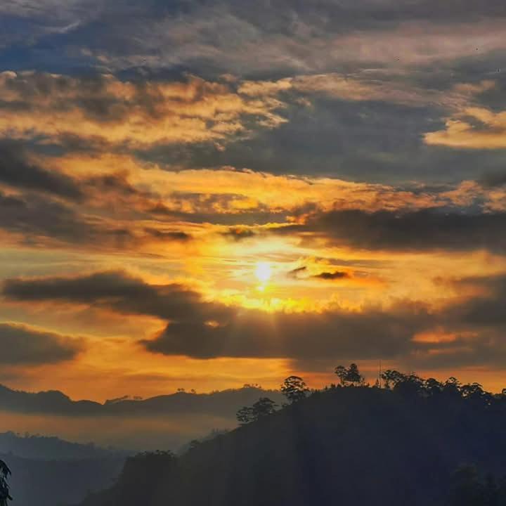 Elegant Hill Διαμέρισμα Ella Εξωτερικό φωτογραφία